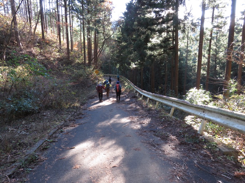 笹尾根〜陣馬山