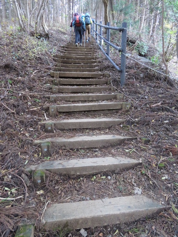 笹尾根〜陣馬山