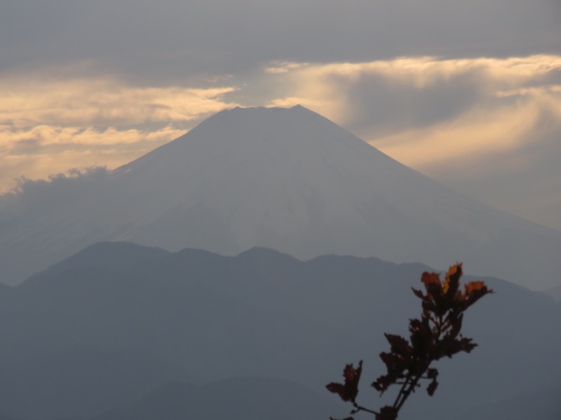 笹尾根〜陣馬山