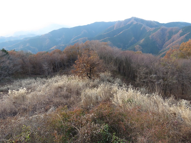 笹尾根〜陣馬山