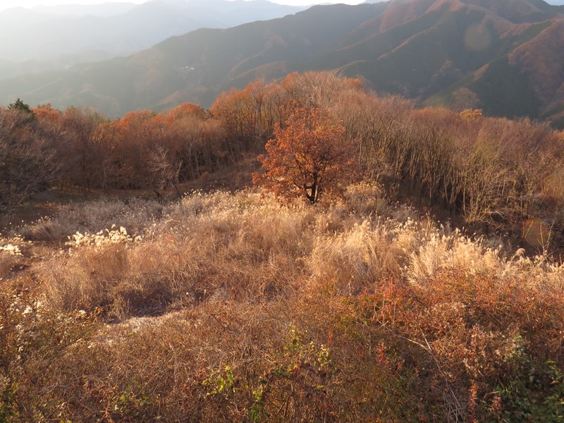 笹尾根〜陣馬山