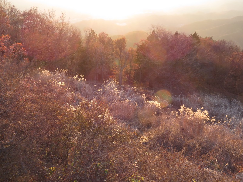 笹尾根〜陣馬山