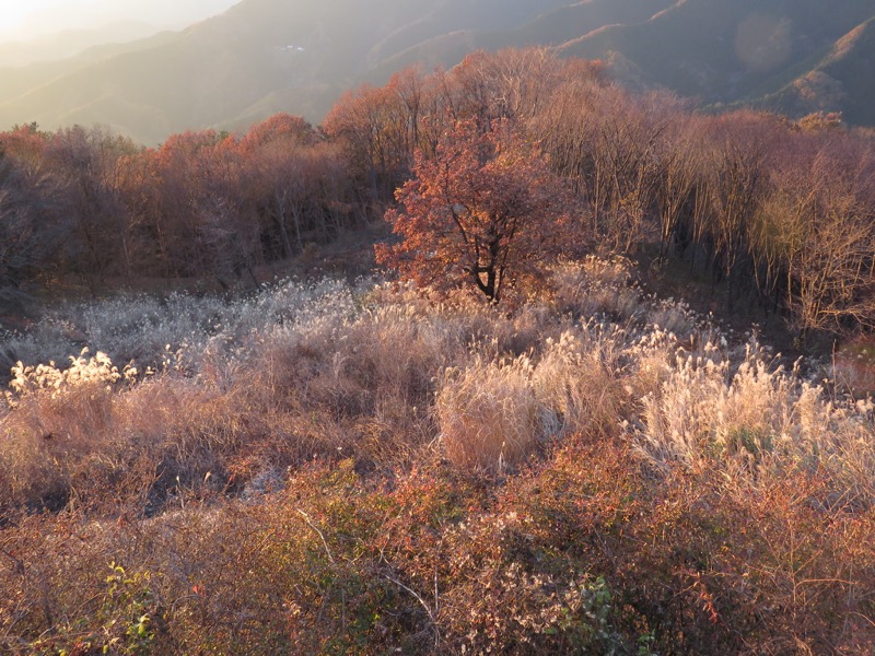 笹尾根〜陣馬山