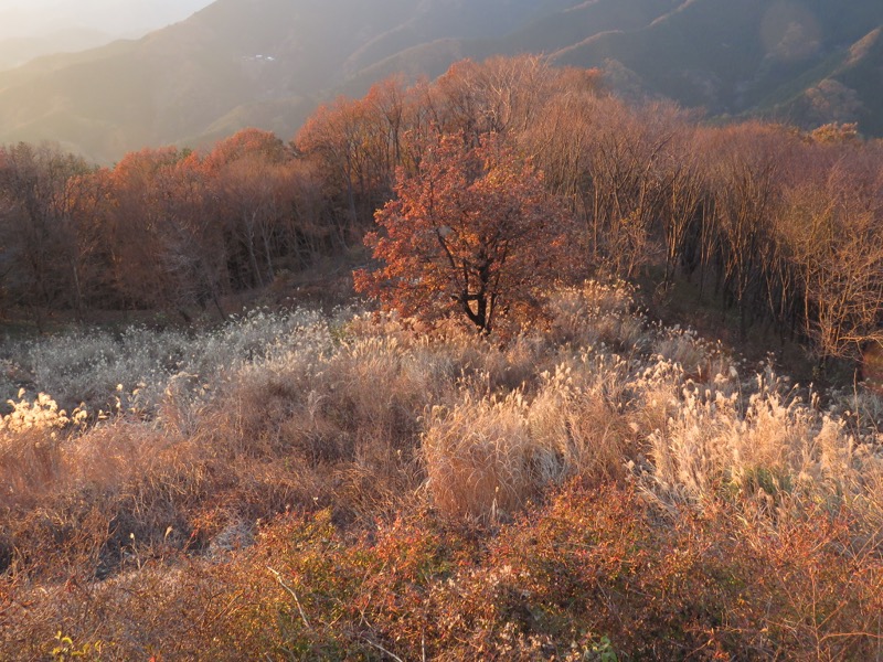 笹尾根〜陣馬山