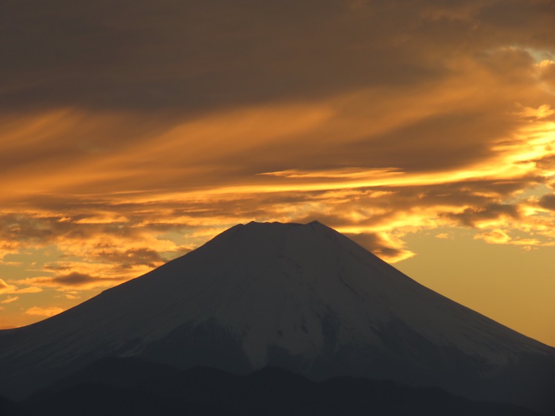 笹尾根〜陣馬山