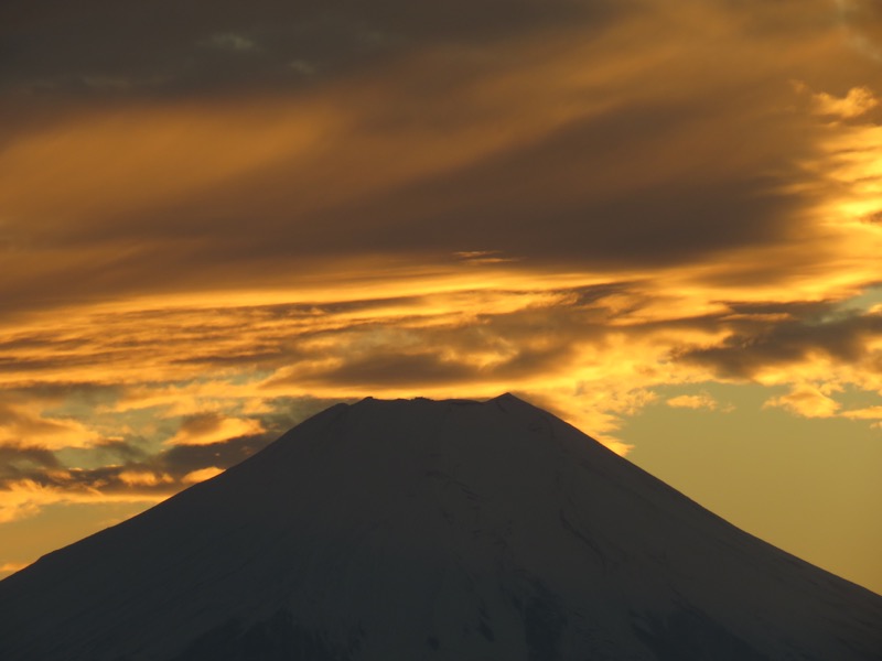 笹尾根〜陣馬山