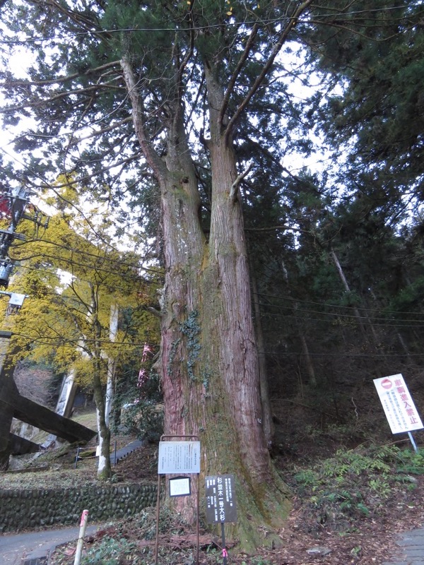 日の出山登山