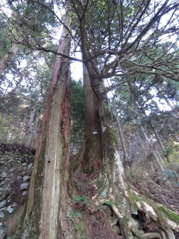 日の出山登山