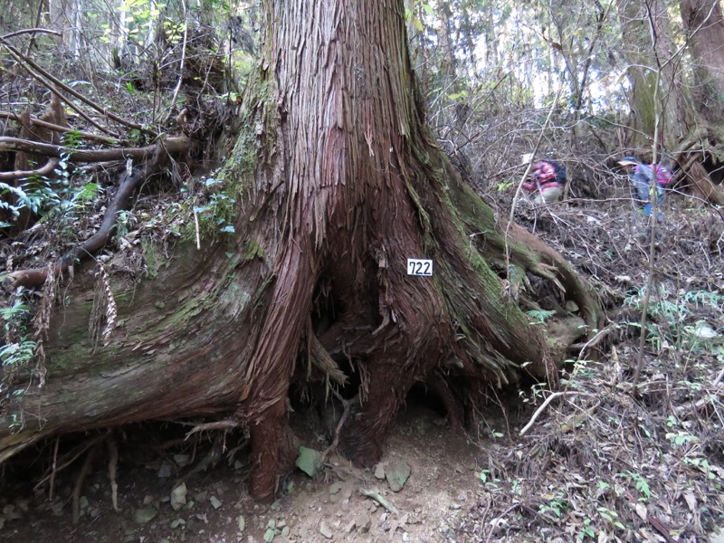 日の出山登山