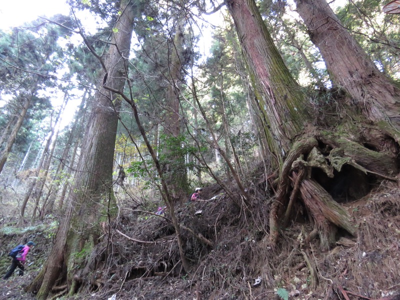 日の出山登山