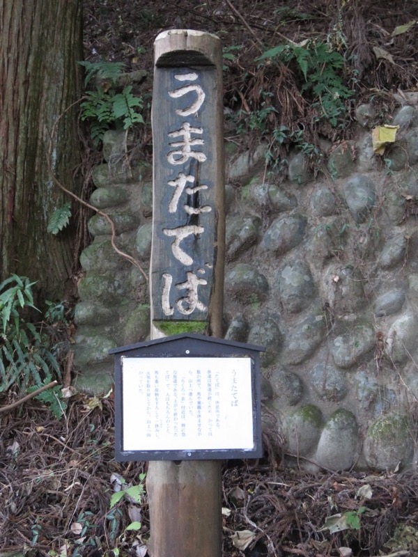 日の出山登山