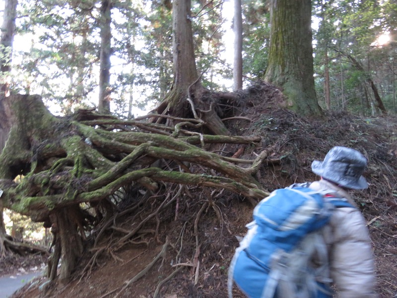 日の出山登山