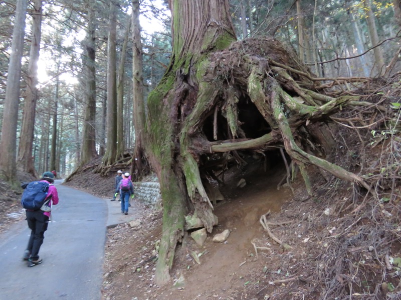 日の出山登山