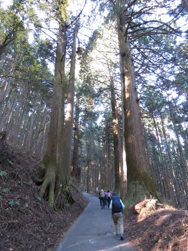 日の出山登山