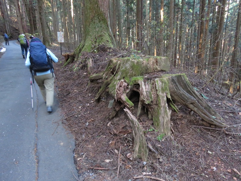 日の出山登山