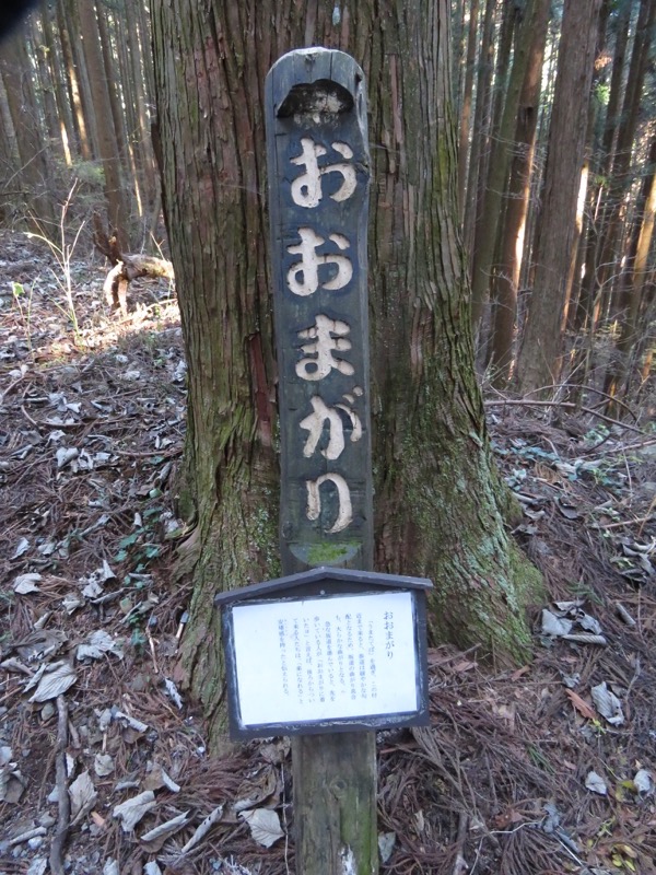 日の出山登山