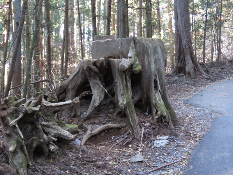 日の出山登山