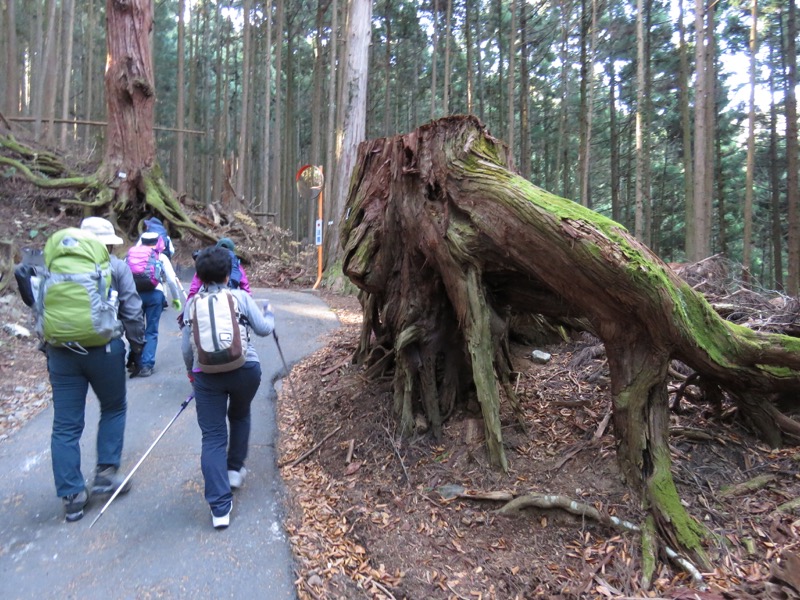 日の出山登山