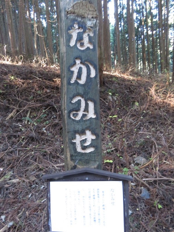 日の出山登山