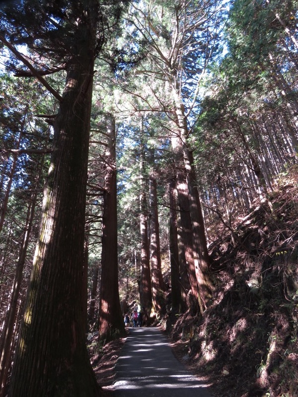 日の出山登山