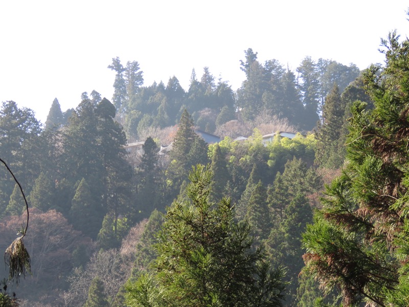 日の出山登山