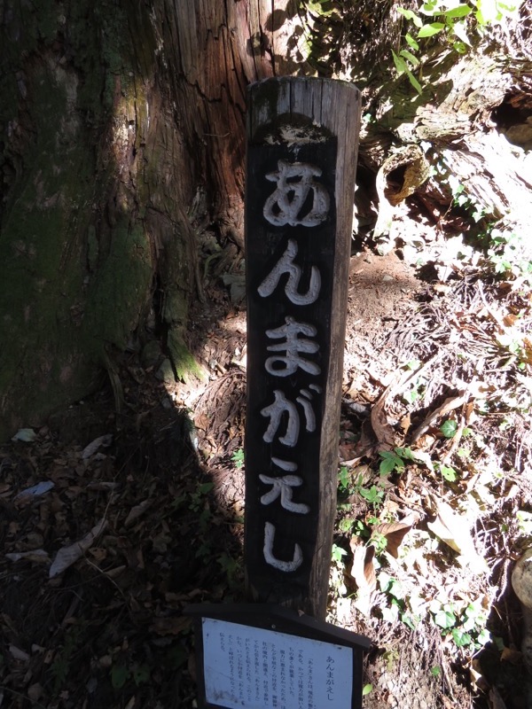 日の出山登山