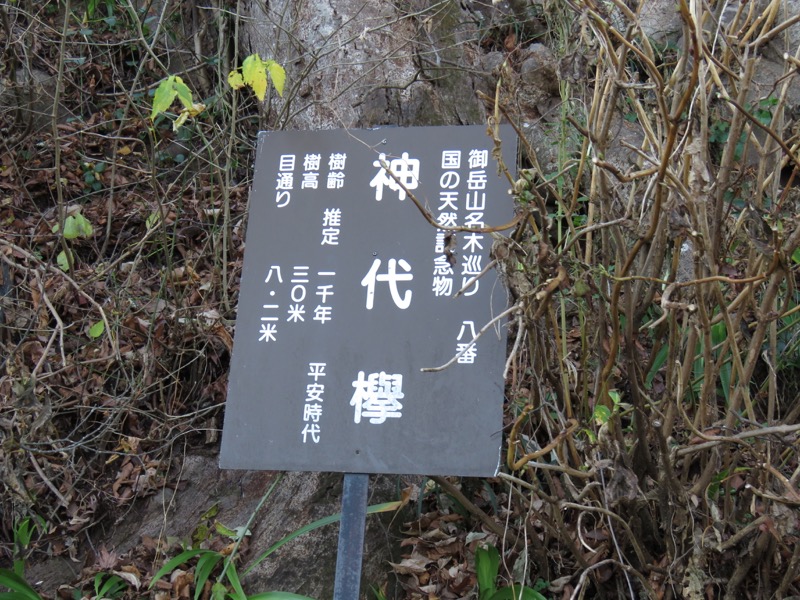 日の出山登山