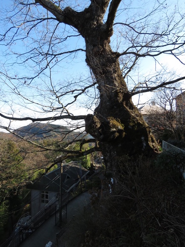 日の出山登山