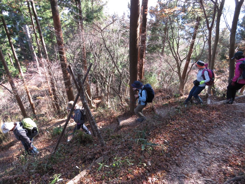 日の出山登山