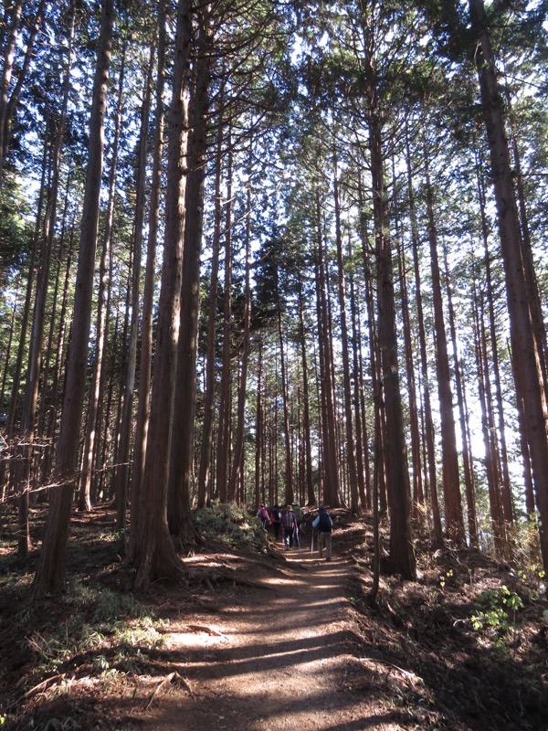 日の出山登山