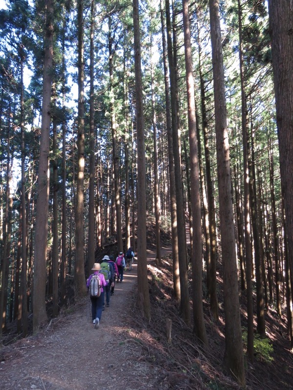 日の出山登山