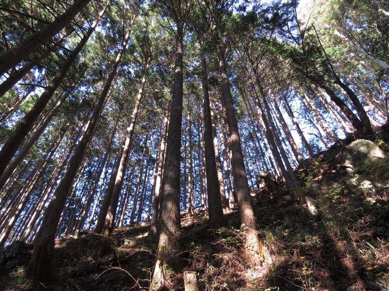 日の出山登山