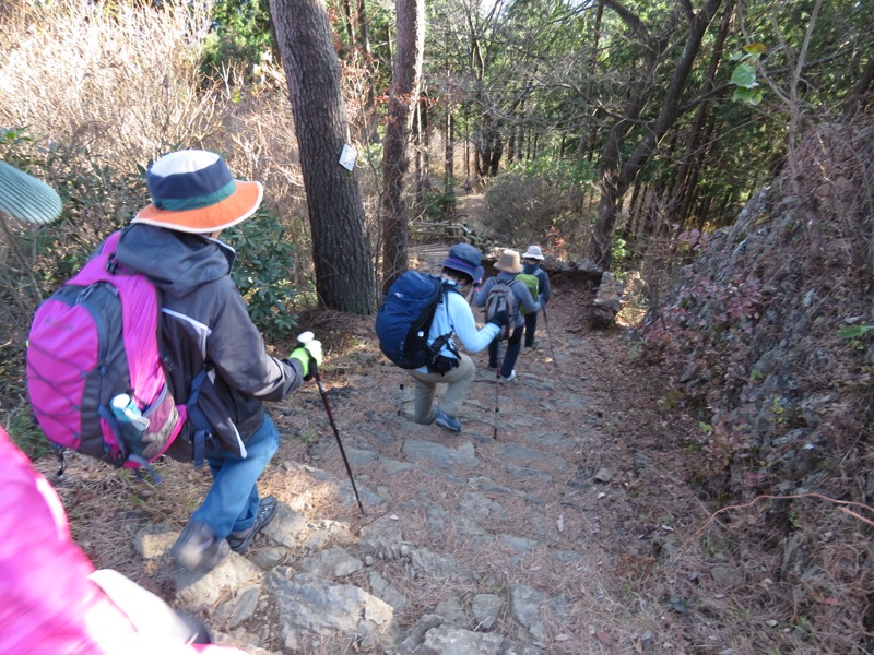 日の出山登山