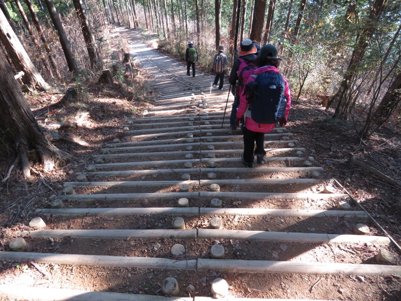 日の出山登山