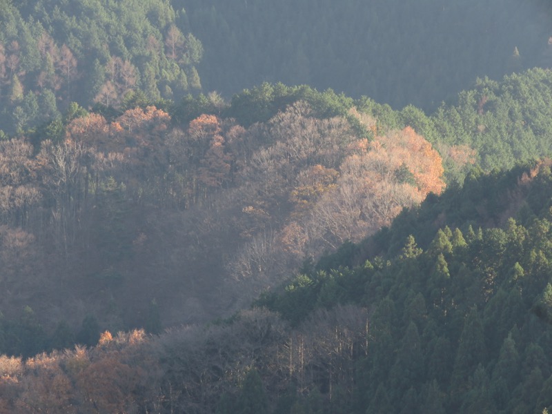 日の出山登山