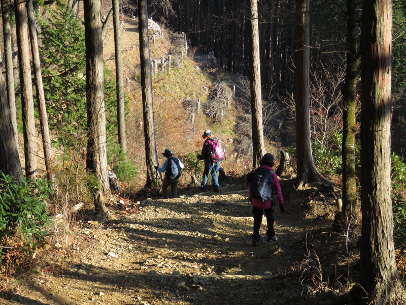 日の出山登山