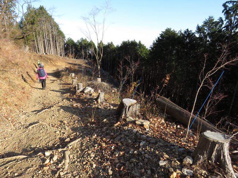 日の出山登山