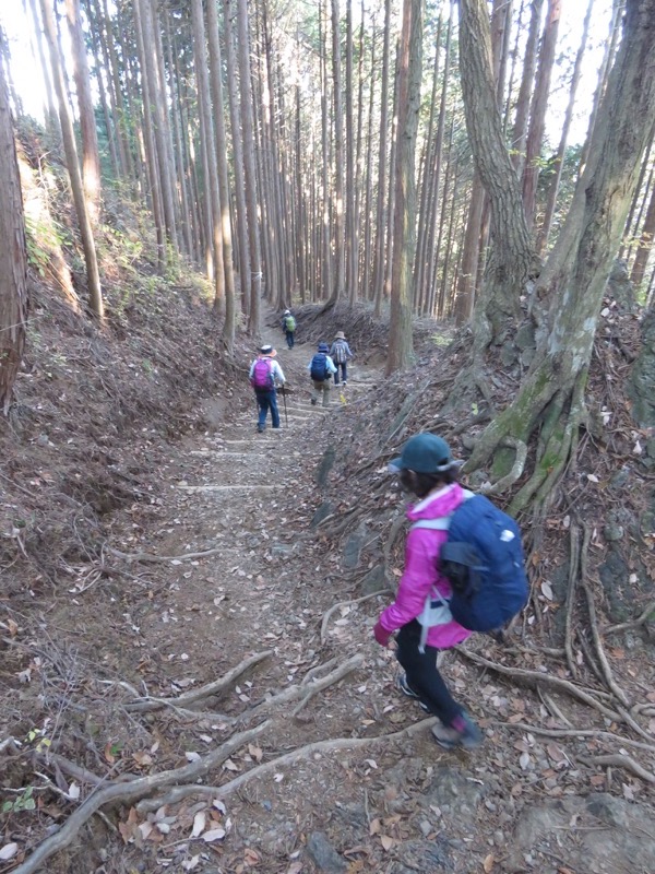 日の出山登山