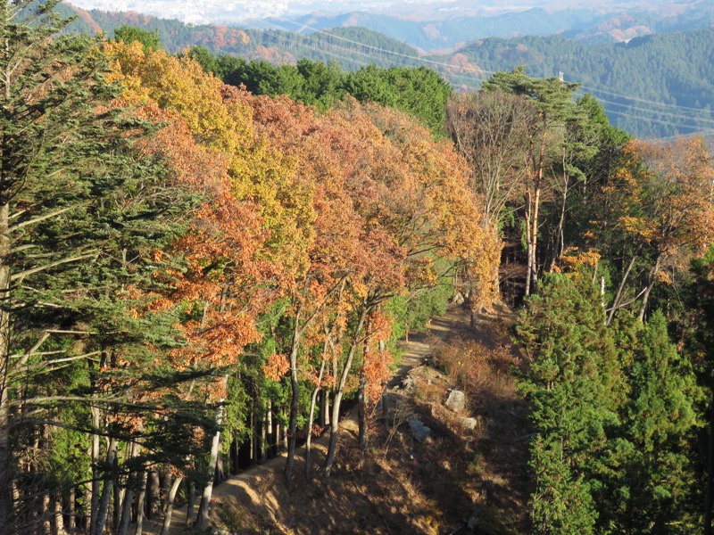 日の出山登山