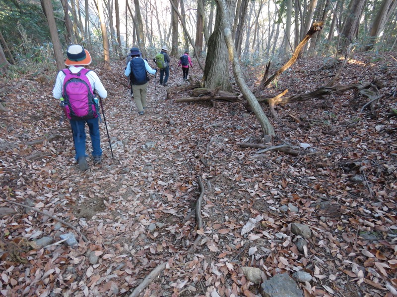 日の出山登山