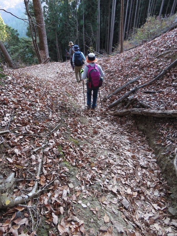 日の出山登山