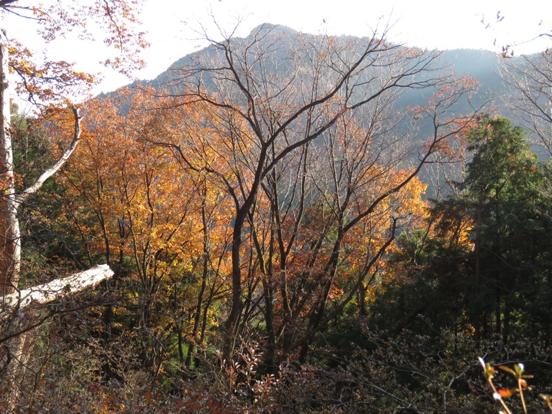 日の出山登山