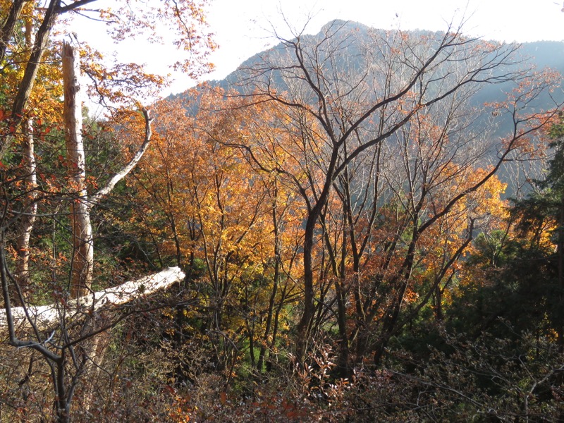 日の出山登山