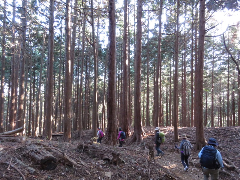 日の出山登山