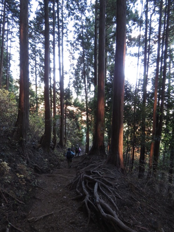 日の出山登山