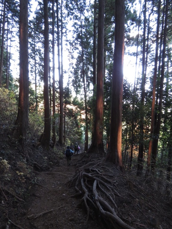 日の出山登山