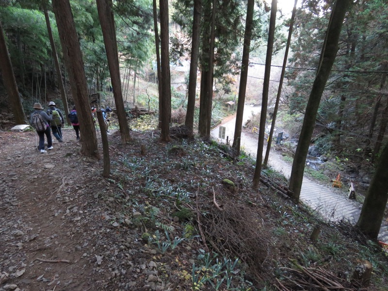 日の出山登山