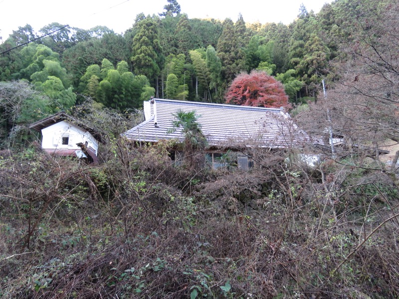 日の出山登山