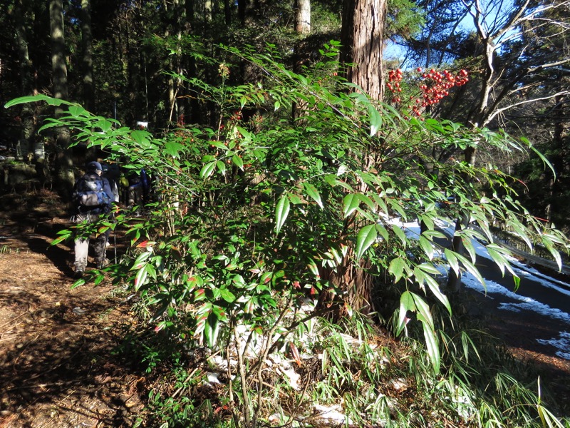 扇山+高尾山登山
