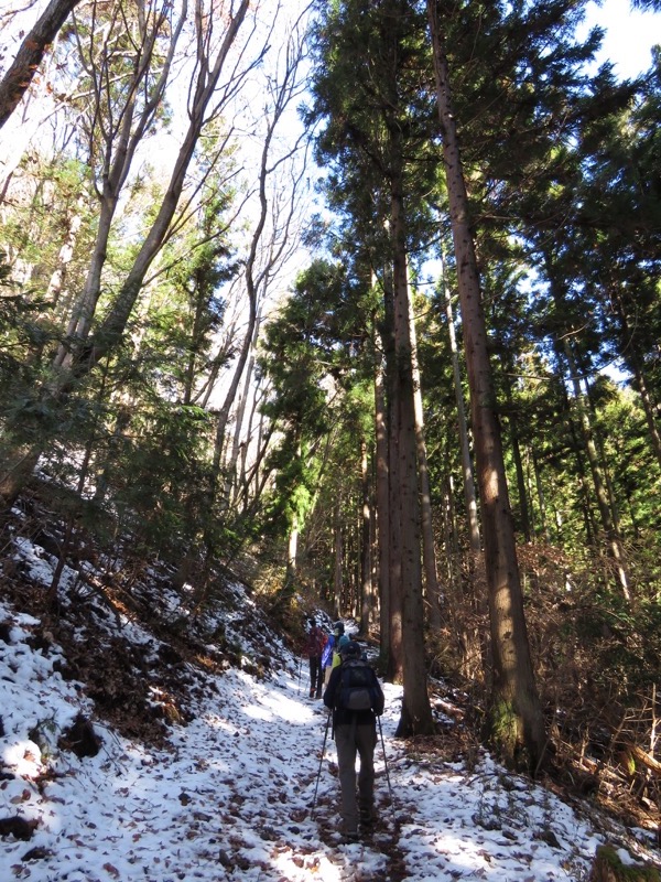 扇山+高尾山登山